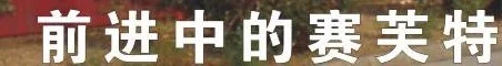 Saifute