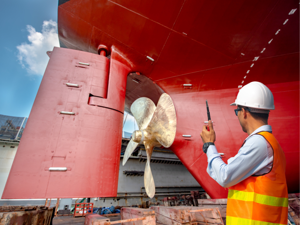 ship inspection or audit officer